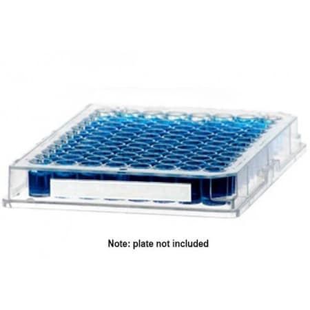 Diversified Biotech DirectThermal Sidewall Cryo-Tag, 1,000/rl, White 249406